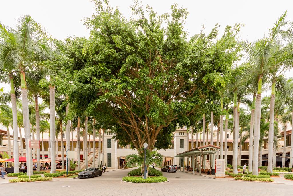 Pelicanstay In Coral Gables Miami 외부 사진